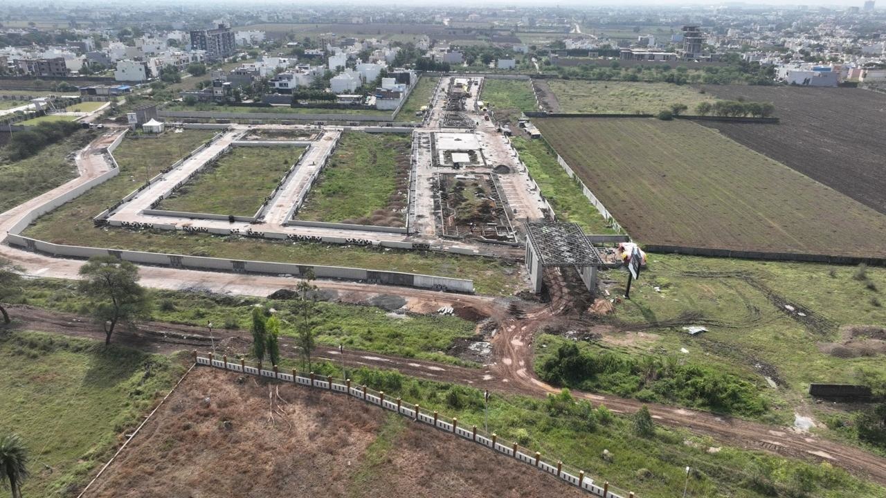  emerald gardenia Plot