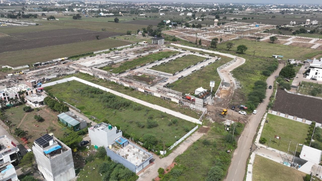  emerald gardenia Plot