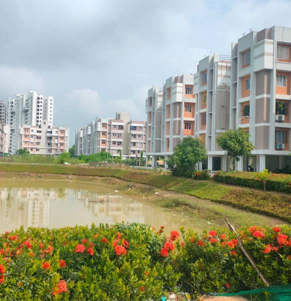 Elevation renaissance-smart-homes Elevation