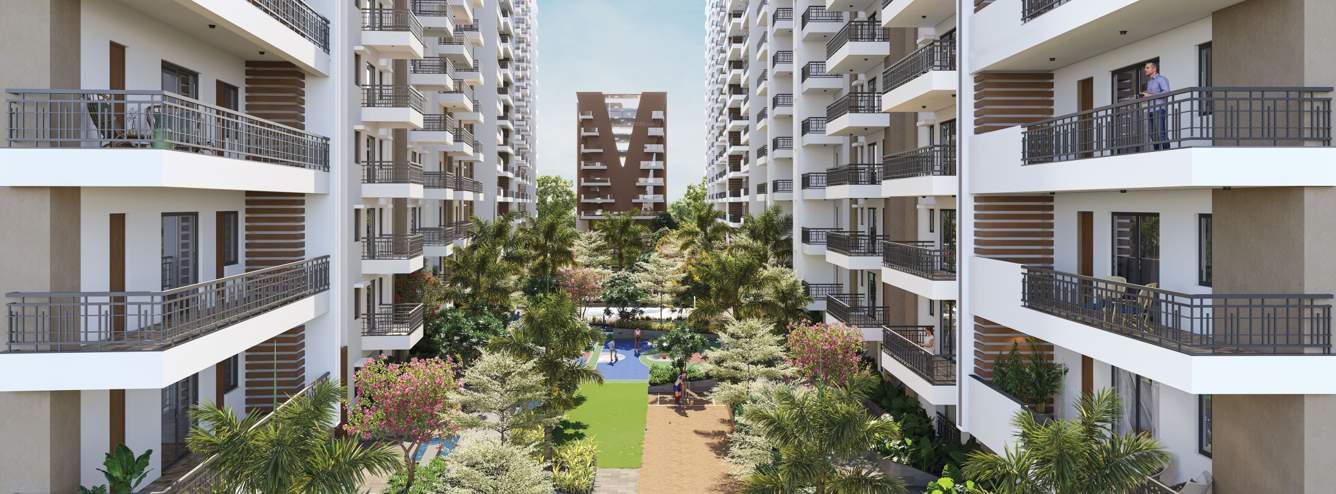  narenn primark inspira Others