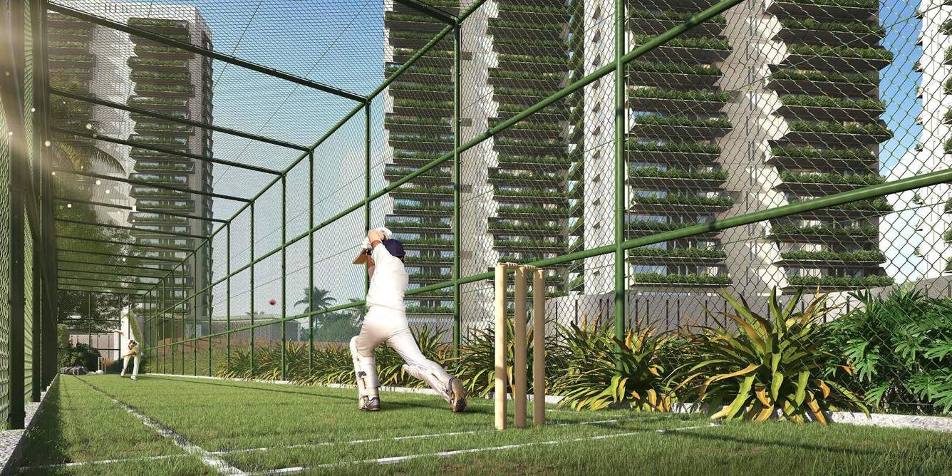  beaumonde Cricket arena