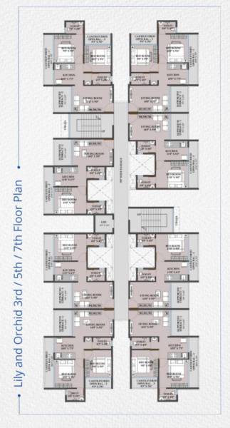  serene-park Building 1 Wing A Lilly Cluster Plan