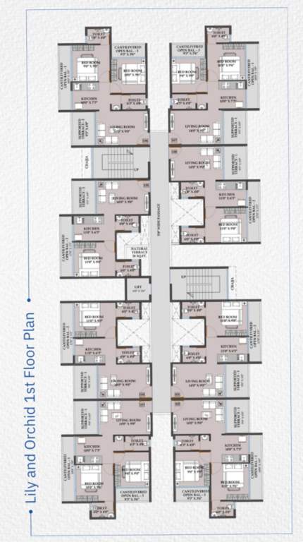  serene park Building 1 Wing A Lilly Cluster Plan