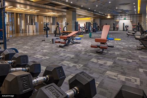  antilia-phase-viii-avana Gymnasium