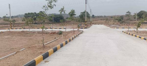 Elevation orr-east-organica Elevation