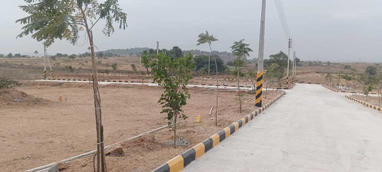  orr east organica Plot