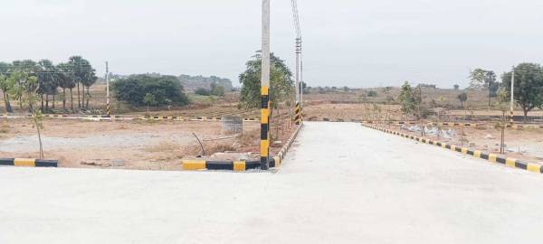  orr-east-organica Plot