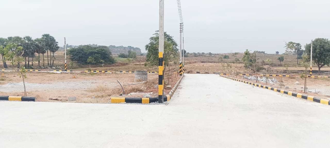  orr east organica Plot