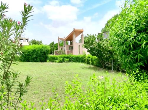  nal-village Landscape Garden and Tree Planting