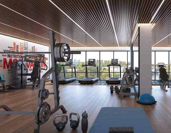  treasure troves Gymnasium