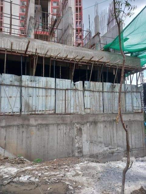 elina luxe tower g and h Tower G Construction Status June 24