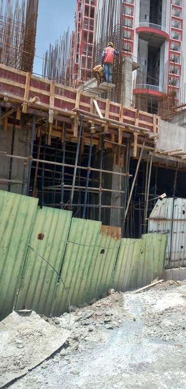 elina luxe tower g and h Tower G Construction Status June 24