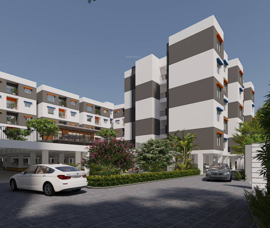  newry adora Elevation