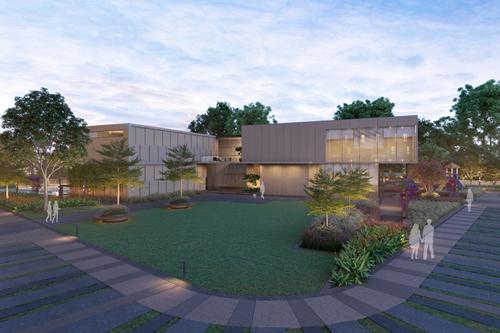  orchid-platinum Landscape Garden and Tree Planting