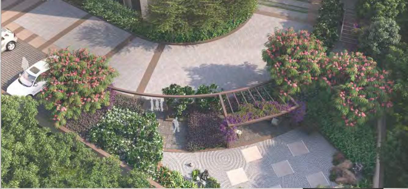 orchid platinum Landscape Garden and Tree Planting