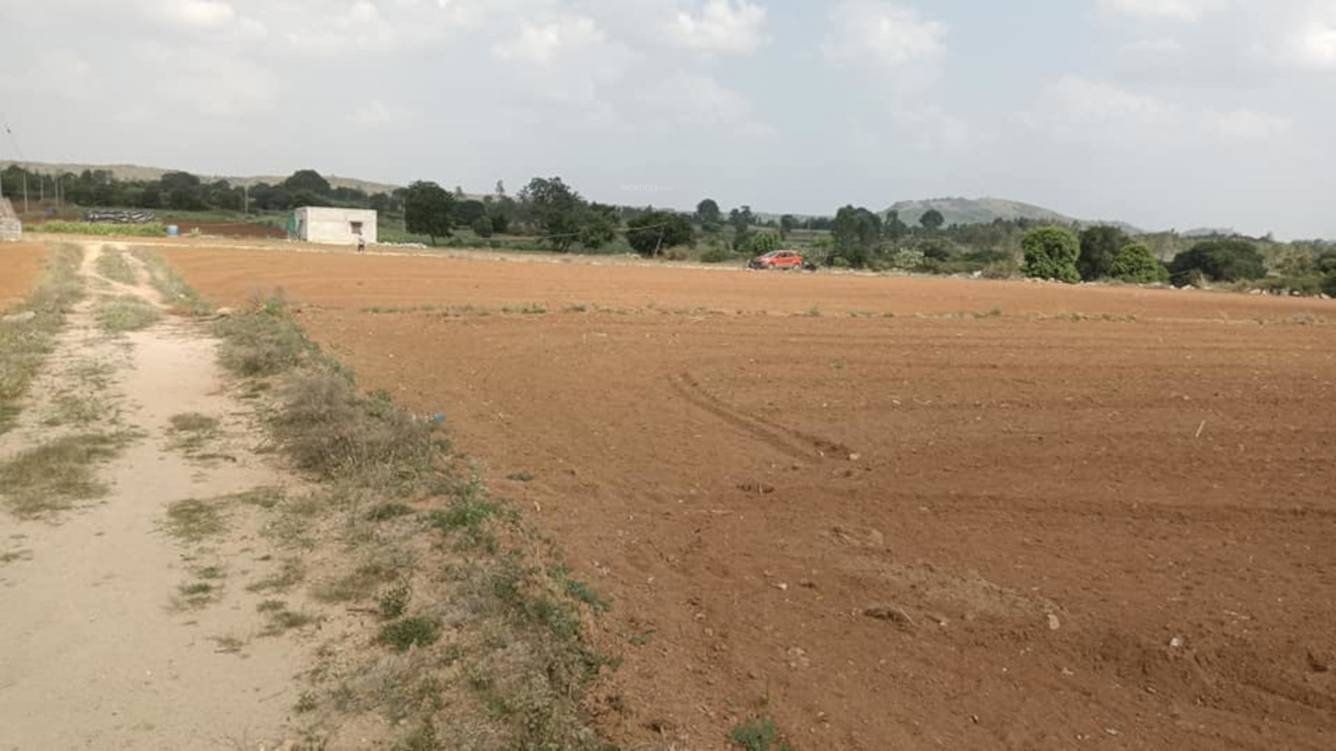  ranjanpada Elevation