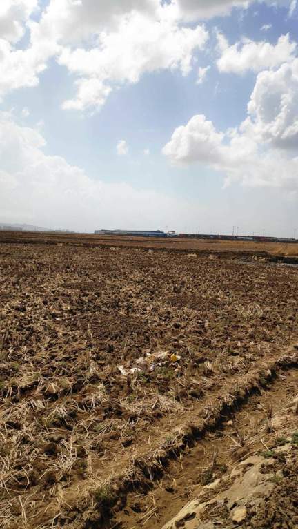 ranjanpada Plot