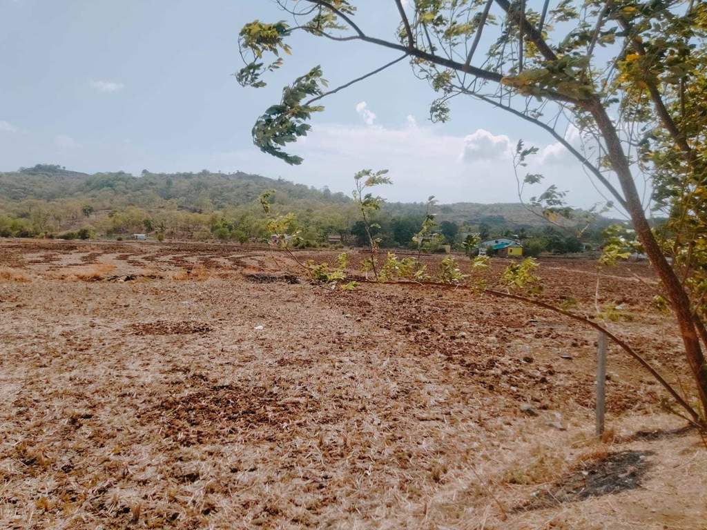  ranjanpada Plot