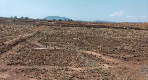  vindhane Plot