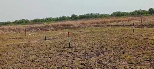  chirle Plot