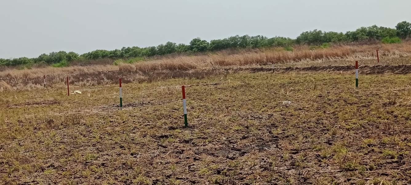  chirle Plot