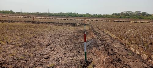  chirle Plot