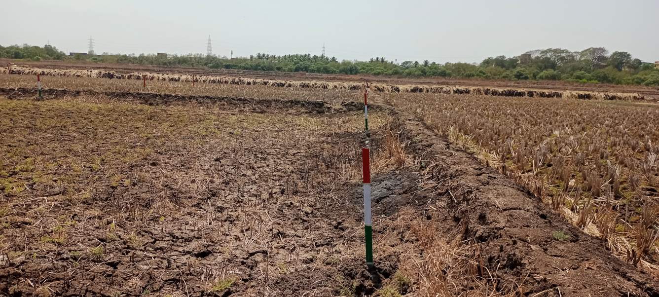  chirle Plot