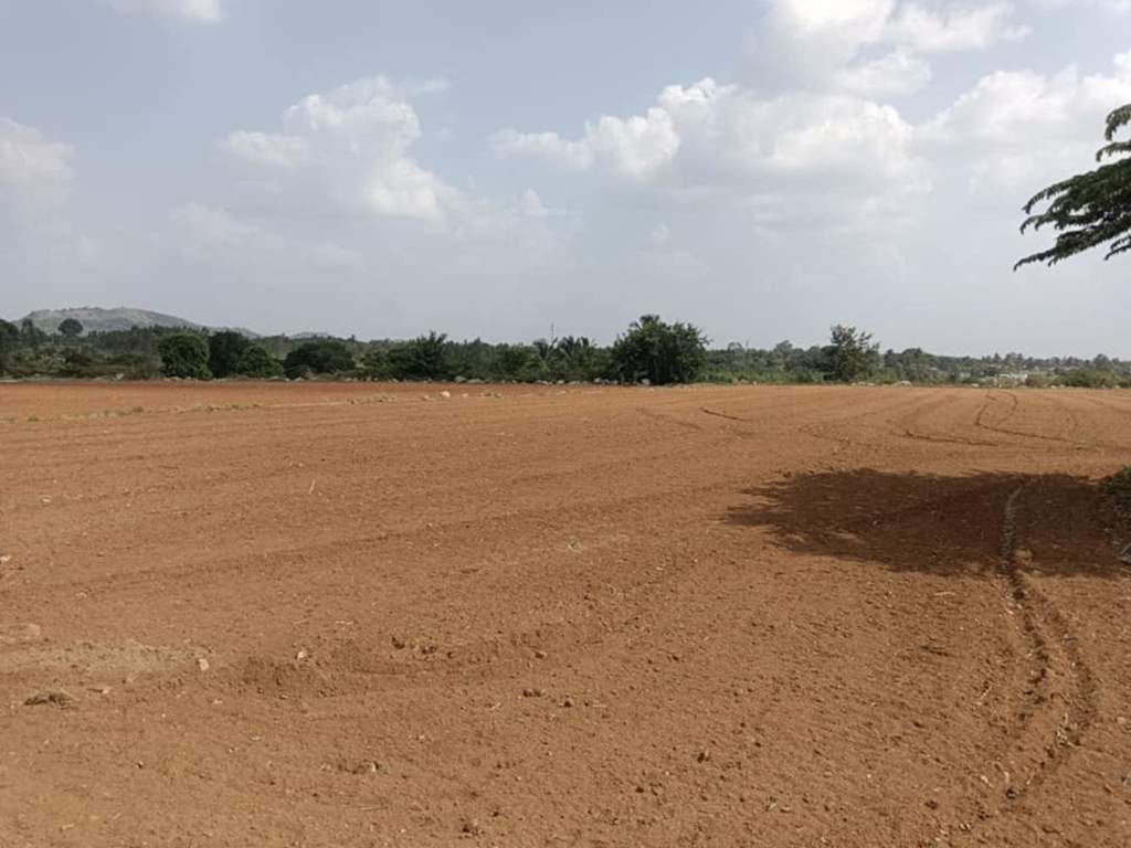  panvel Plot