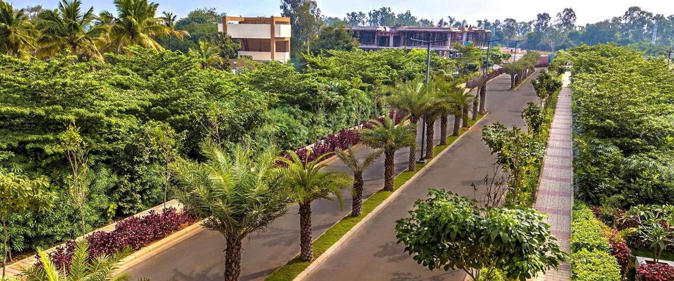  the county address phase 2 Elevation