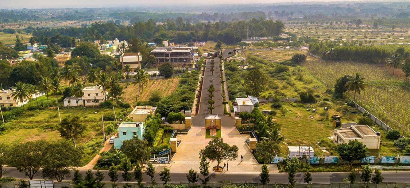  the county address phase 2 Others