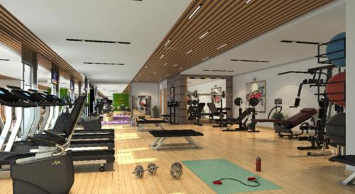  dps-nakshatra-heights Gymnasium