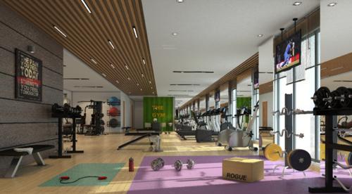  dps-nakshatra-heights Gymnasium