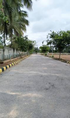  woodbridge-pride Internal Roads