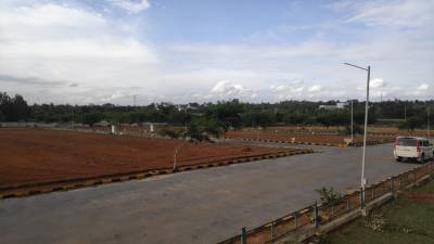  woodbridge-pride Plot