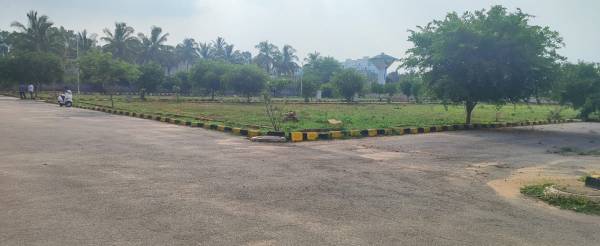  woodbridge-pride Plot