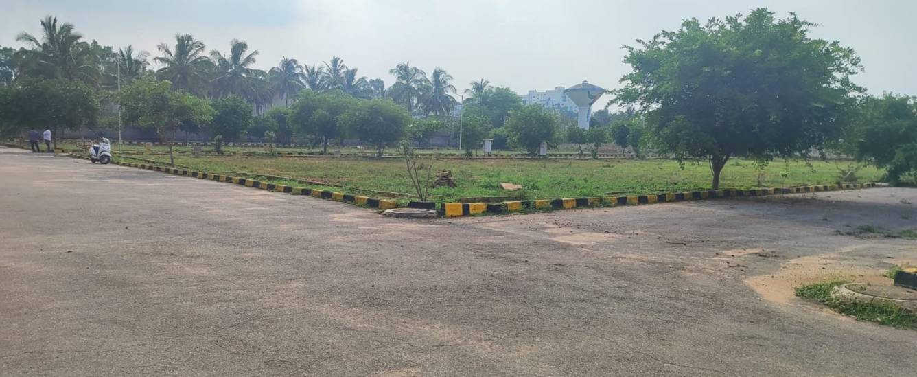  woodbridge pride Plot