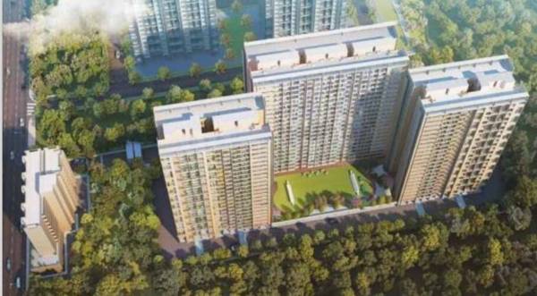 Elevation mesmer-phase-6 Elevation