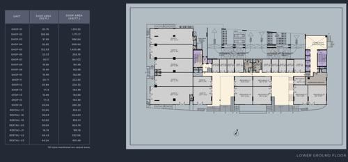  the-plarinum-towers The Plarinum Towers Lower Ground Cluster Plan
