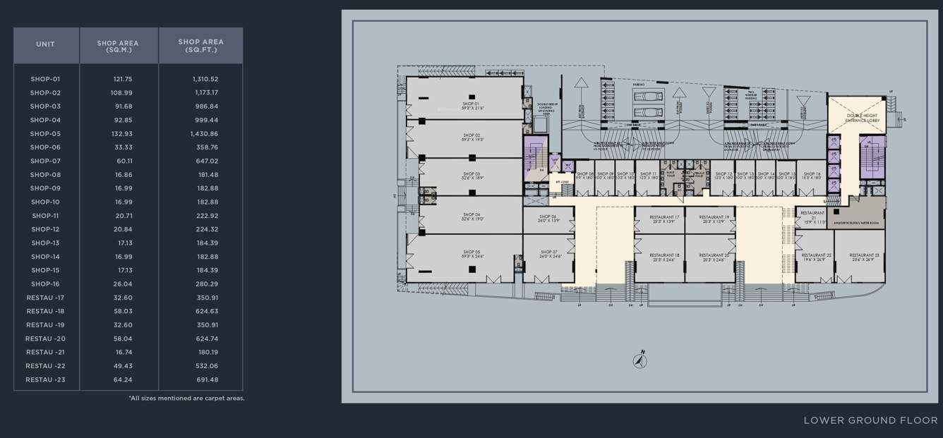  the plarinum towers The Plarinum Towers Lower Ground Cluster Plan