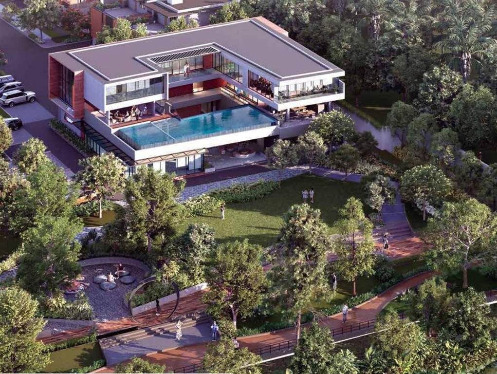  the midsummer rain phase 1 Others