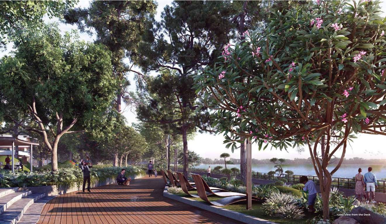  the midsummer rain phase 1 Others