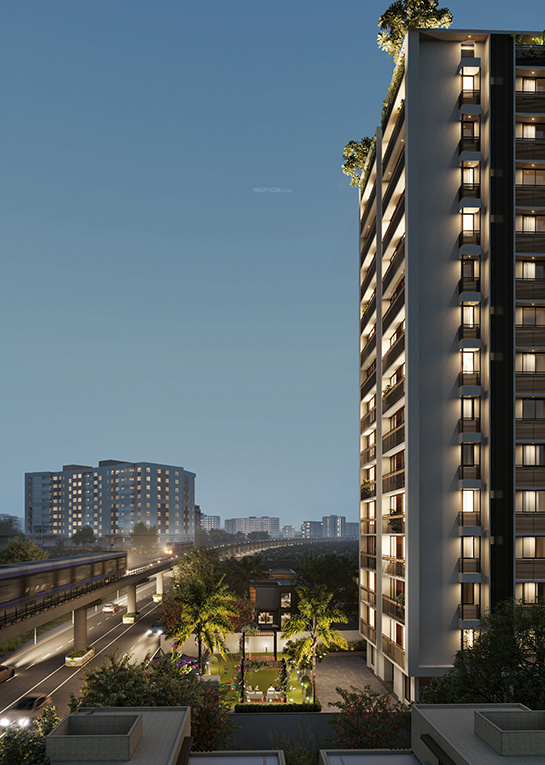  nirvana arise Elevation