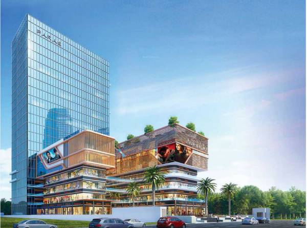 Elevation paras-avenue Elevation