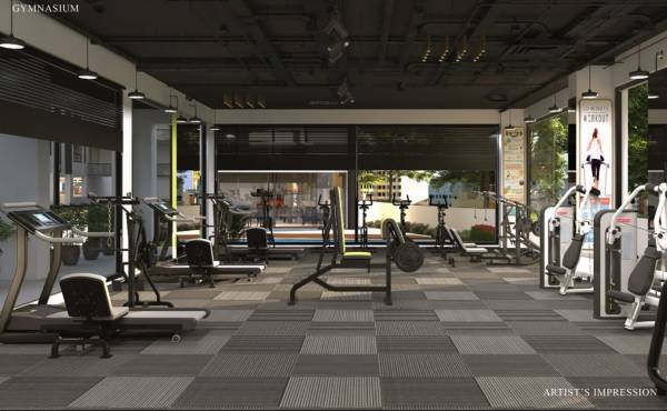  white-nest Gymnasium