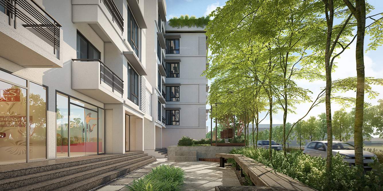  shangri la garden Landscape Garden and Tree Planting