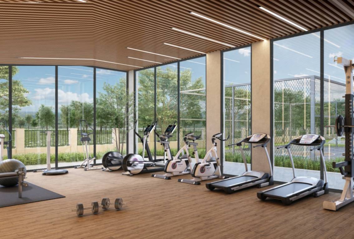  premier town Gymnasium