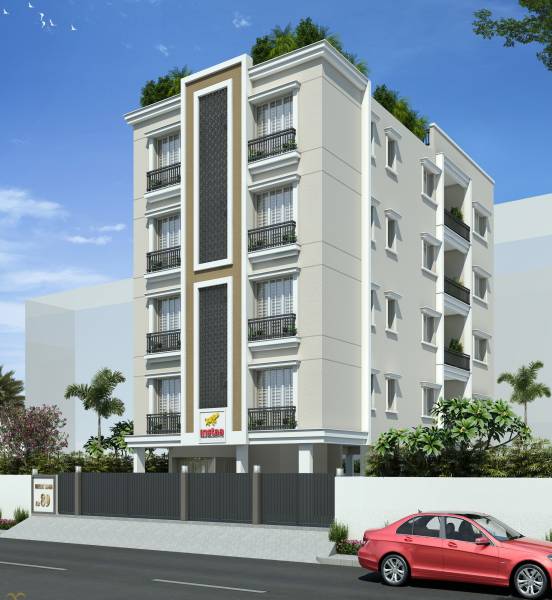 Elevation dandey-house Elevation