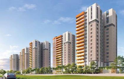  urban-palms Elevation