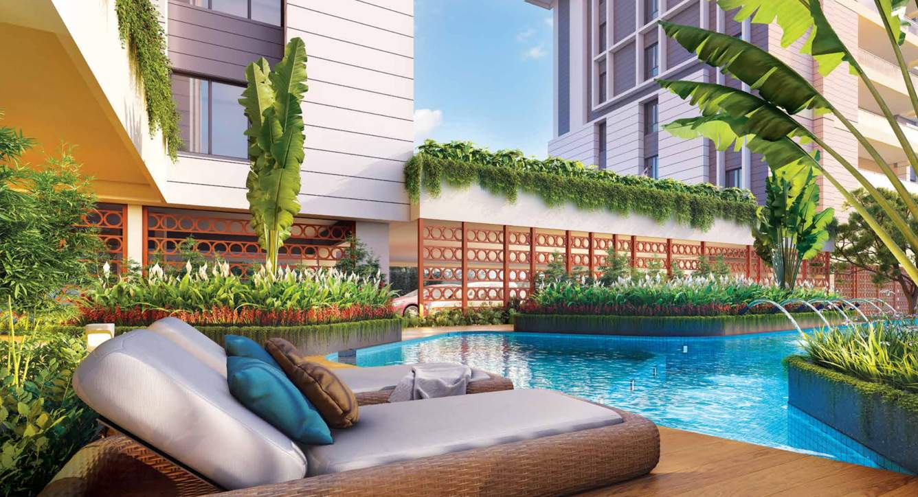  urban palms Swimming Pool