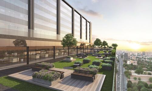  times-square-grand Landscape Garden and Tree Planting